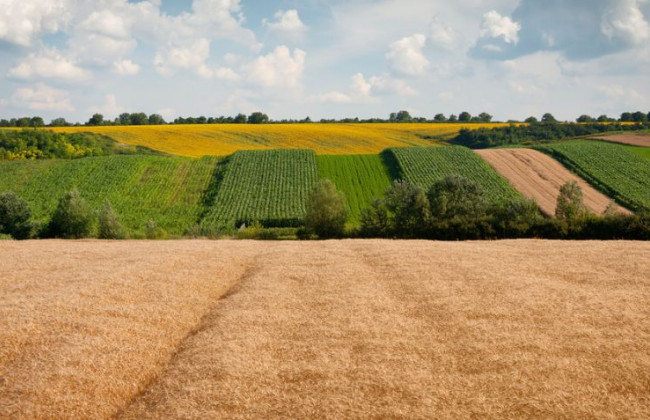 У справі начальника управління Держгеокадастру з Київщини є подробиці