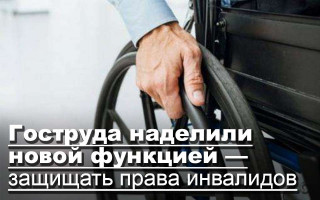 Гоструда наделили новой функцией — защищать права инвалидов