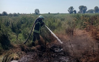Все у диму: під Києвом горить торф
