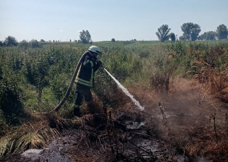 Все у диму: під Києвом горить торф