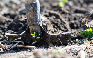 Закопали в лесополосе: преступники под Донецком «убрали» свидетеля