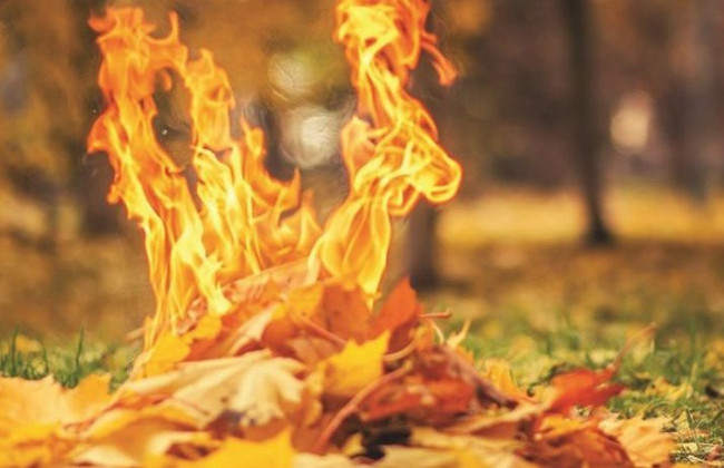 Сжигание листьев и соль на дорогах зимой: от чего скоро откажется Украина