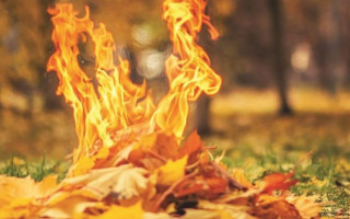 Сжигание листьев и соль на дорогах зимой: от чего скоро откажется Украина