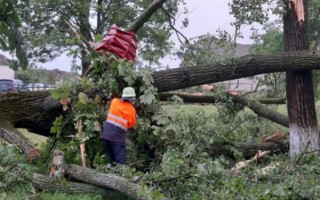 Мощный смерч на Закарпатье сорвал крыши домов и разбил окна, видео
