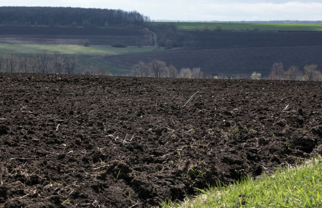 Мораторій на землю: ВП ВС висловилася щодо заборони на відчуження земель