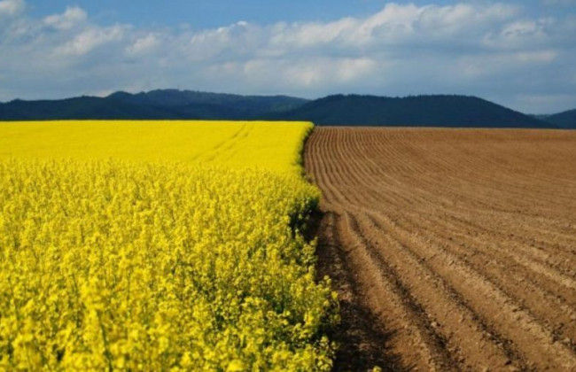 Велика Палата винесла рішення стосовно земельного мораторію