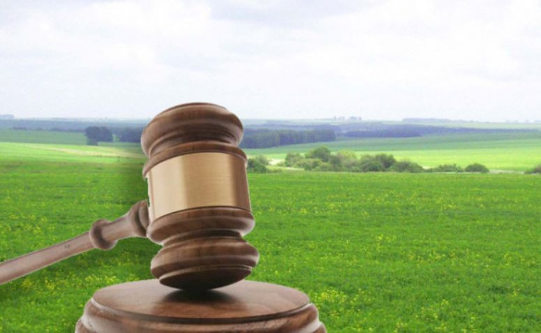 Справа щодо права власності на земельну ділянку: ВП ВС визначила підвідомчість спору