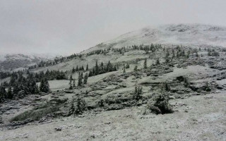 Карпаты внезапно засыпало снегом: видео