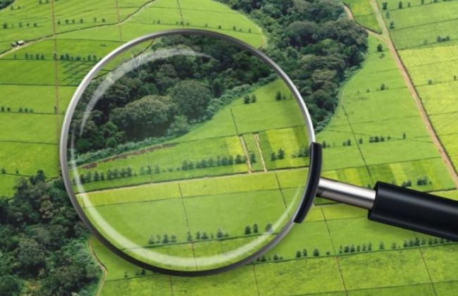 Помилки в Державному земельному кадастрі: як вони мають виправлятися