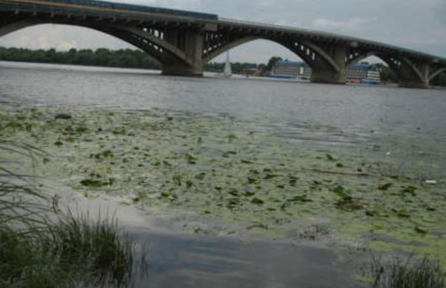Киян попередили про небезпеку на пляжах Дніпра: що відомо