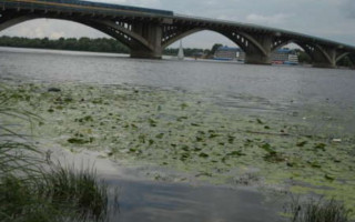 Киян попередили про небезпеку на пляжах Дніпра: що відомо