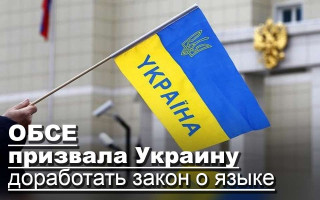 ОБСЕ призвала Украину доработать закон о языке