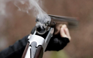 Розстріляв цуценя: у Чернівцях судитимуть 27-річного місцевого мешканця