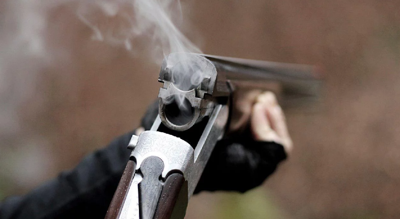 Розстріляв цуценя: у Чернівцях судитимуть 27-річного місцевого мешканця