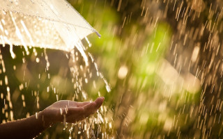 Дожди и грозы: украинцев предупредили о непогоде