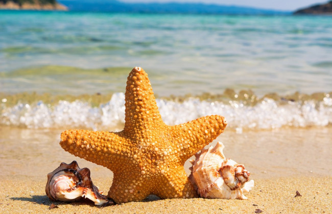 Выходные в августе: сколько дней будут отдыхать украинцы