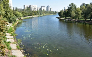 В Киеве неадекват пытался утопить пенсионерку