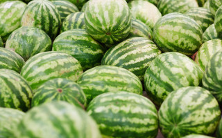 Лето в разгаре: 5 советов, как выбрать спелый арбуз