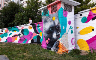 Киян потішили веселим муралом, яскраві фото