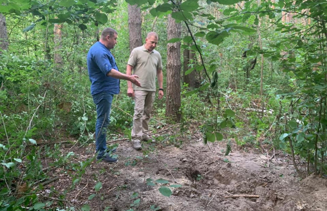 Громкое убийство под Житомиром: новые подробности