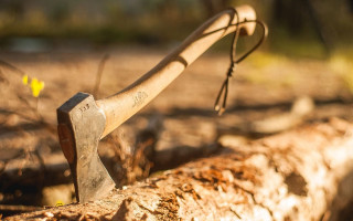 Отрубил голову матери: в Кировоградской области задержали злоумышленника