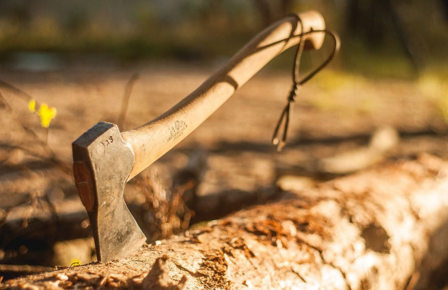 Отрубил голову матери: в Кировоградской области задержали злоумышленника