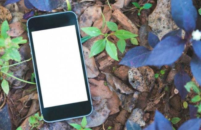 Отграничение кражи от присвоения находки: решение Верховного Суда