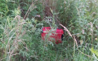 Тіло дитини у валізі: поліція знайшла матір вбитого хлопчика