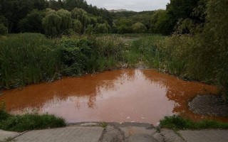Киян здивували кольором води озер в Голосіївському парку: фото