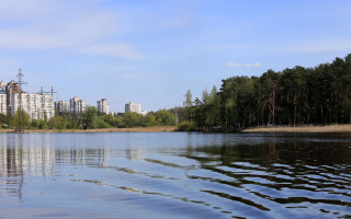 В одном из озер Киева произошла экологическая катастрофа