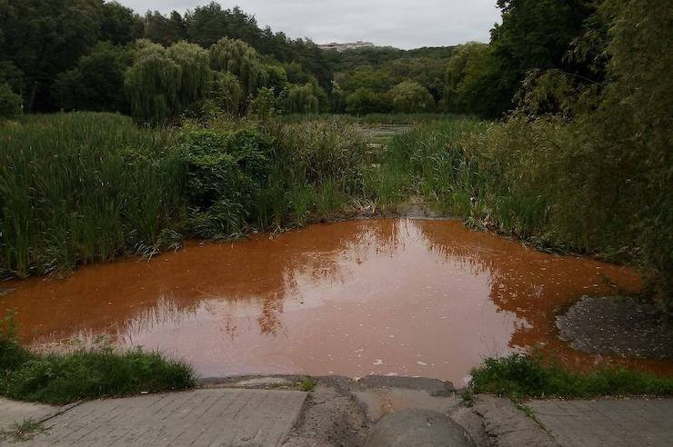 Киян здивували кольором води озер в Голосіївському парку: фото