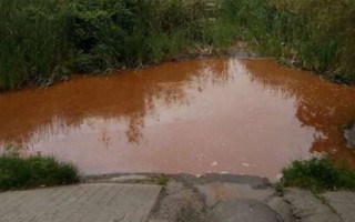 Столичні озера стали помаранчевими: що відомо