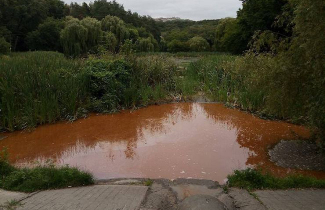 Киян здивували кольором води озер в Голосіївському парку: фото