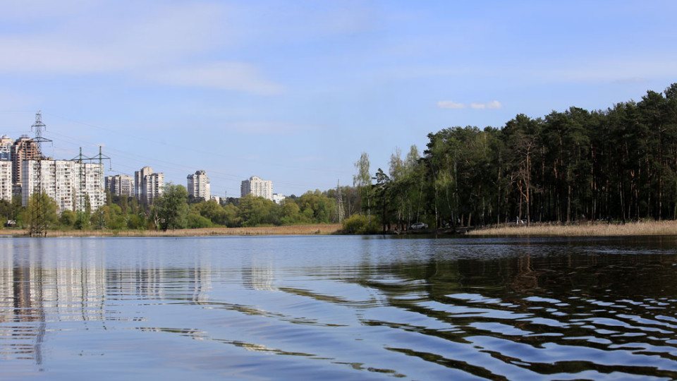 В одном из озер Киева произошла экологическая катастрофа