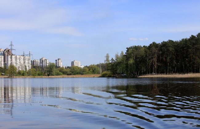 В одном из озер Киева произошла экологическая катастрофа