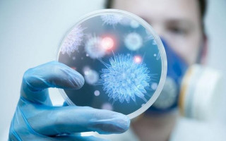 На Украину надвигается новый опасный вирус гриппа: как себя уберечь