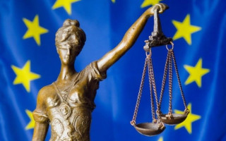 Захист приватного життя публічної особи: рішення ЄСПЛ