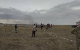 Под Днепром обнаружены туши мертвых свиней: произошла вспышка африканской чумы