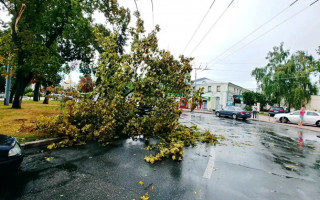 Мощный ураган в Киеве повалил 120 деревьев, фото последствий стихии