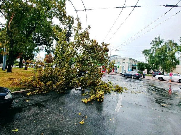 Мощный ураган в Киеве повалил 120 деревьев, фото последствий стихии