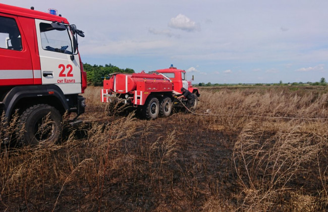 На Київщині другу добу палають торфовища: що відомо