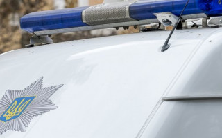 Избил битой полицейского: в Житомире задержали домашнего тирана