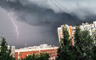 В Киеве бушевала непогода: прохожий едва убежал от падающего дерева, видео