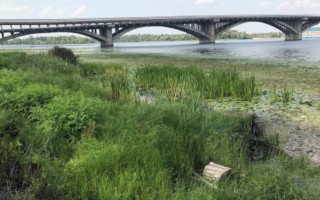 Киян попередили про критичний стан Дніпра