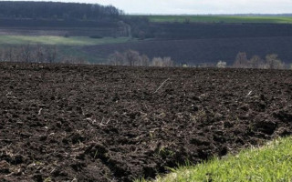 Бездіяльність уряду щодо нерозроблення законопроекту про обіг сільгосп земель: у справі є подробиці