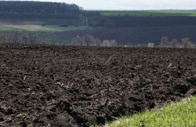 Бездіяльність уряду щодо нерозроблення законопроекту про обіг сільгосп земель: у справі є подробиці