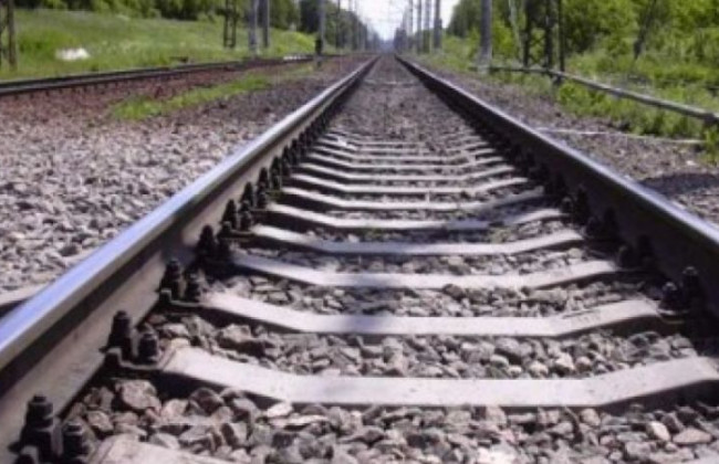 Намагалась врятувати собаку: 12-річна дівчинка потрапила під потяг