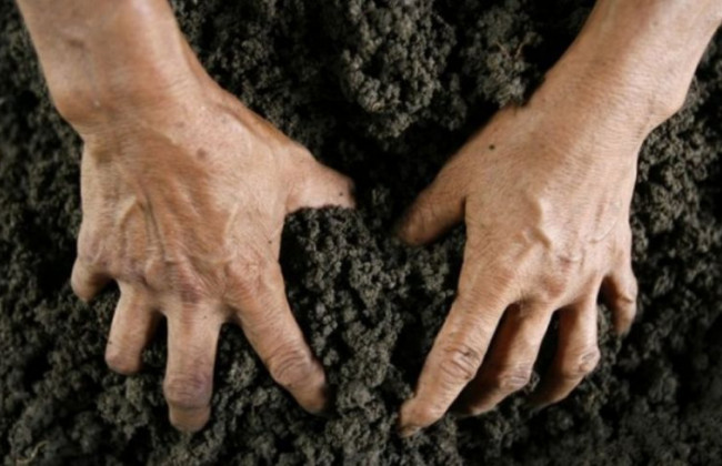 Мін’юст взявся за вивчення основного елементу протидії рейдерству