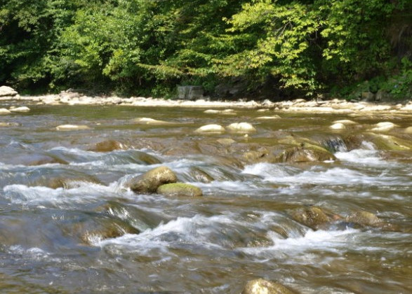 Уровень воды в реках Закарпатья повысится: подробности