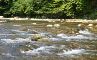 Уровень воды в реках Закарпатья повысится: подробности